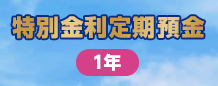 特別金利定期預金（1年）