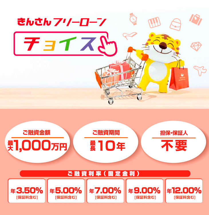 きんさんフリーローン「チョイス」