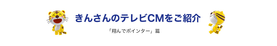 きんさんのテレビCMをご紹介