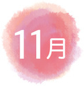 11月