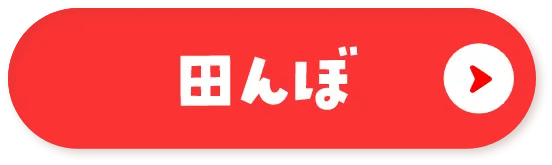 田んぼ