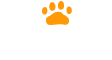 田んぼ