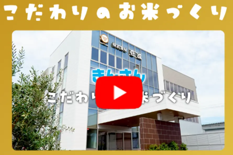 こだわりのお米ずくり