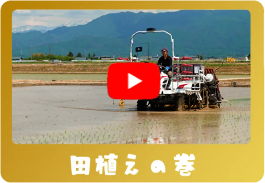 田植えの巻
