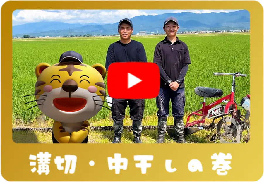 溝切・中干しの巻