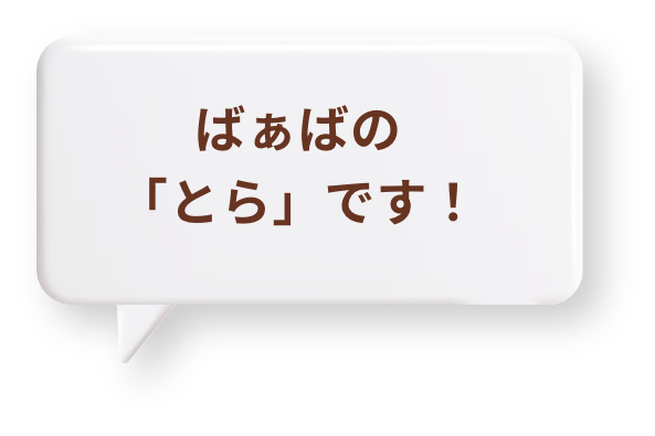 ばぁばの「とら」です！